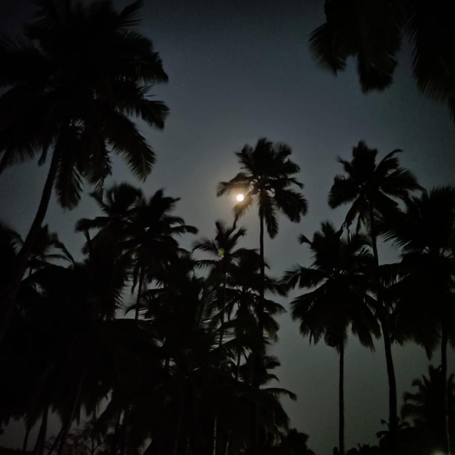 Royal Touch Beach Huts Palolem Buitenkant foto