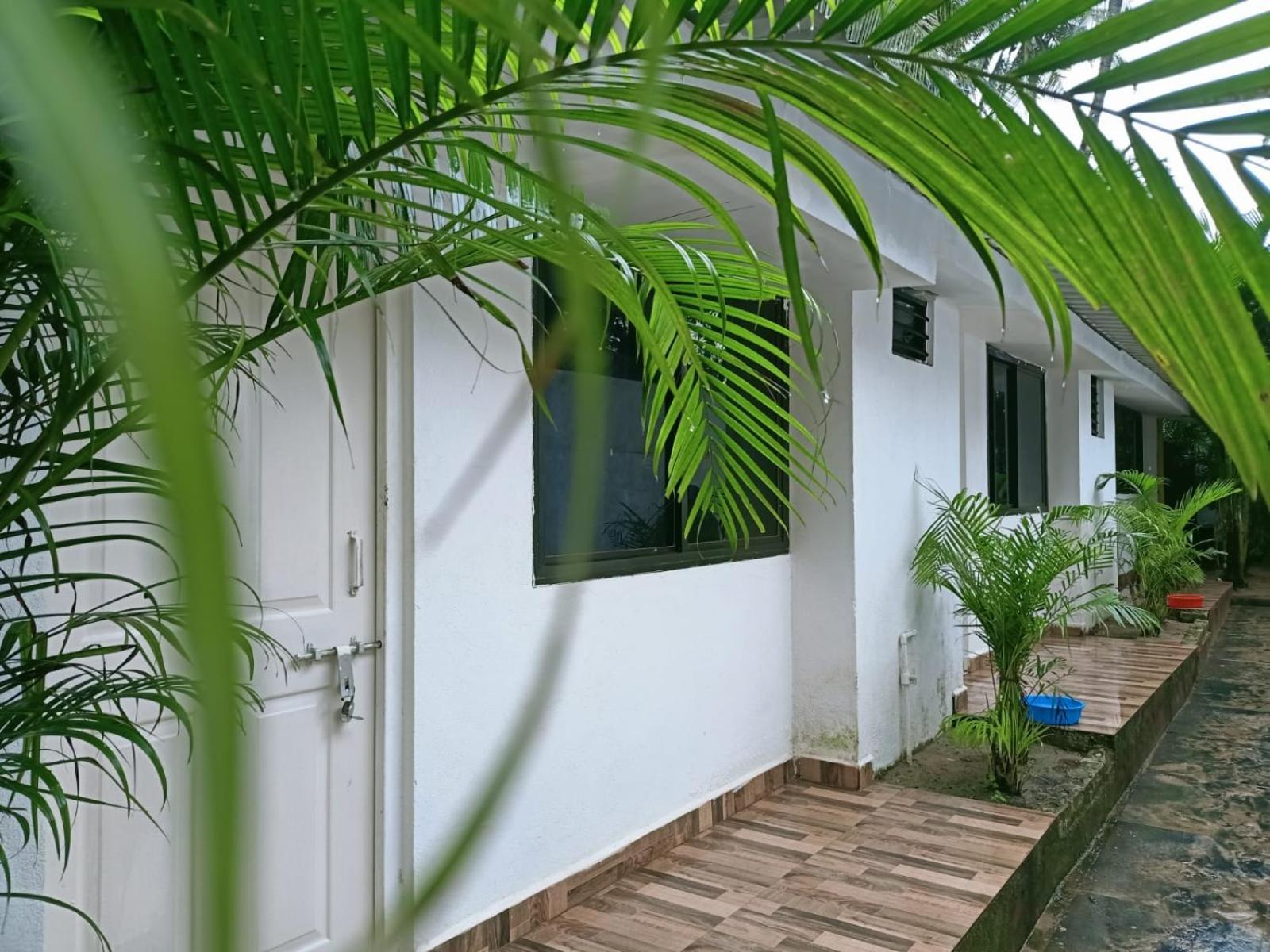 Royal Touch Beach Huts Palolem Buitenkant foto